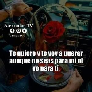 Meet your Posher, Maribel